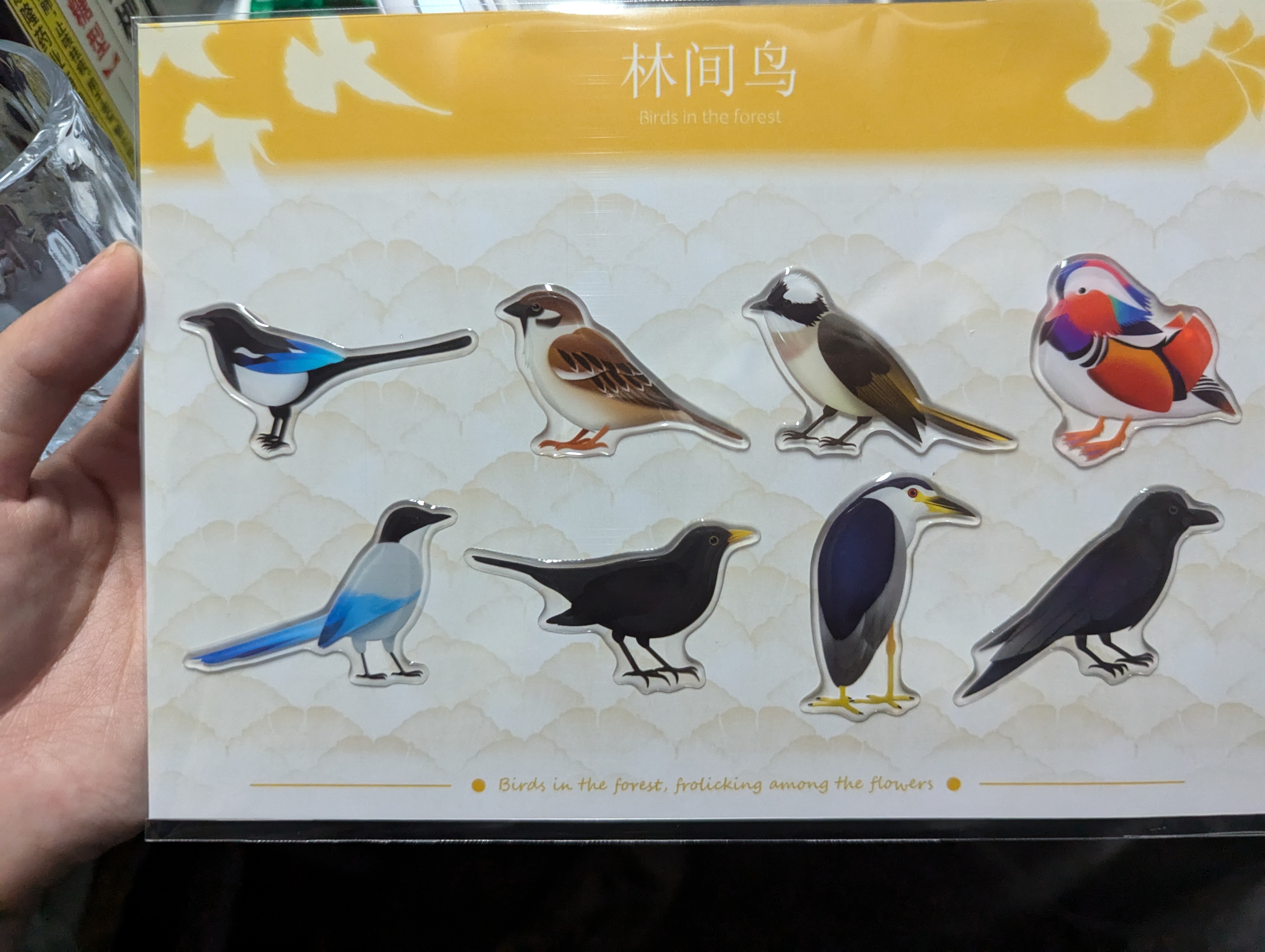 林间鸟 - 实拍展示 2