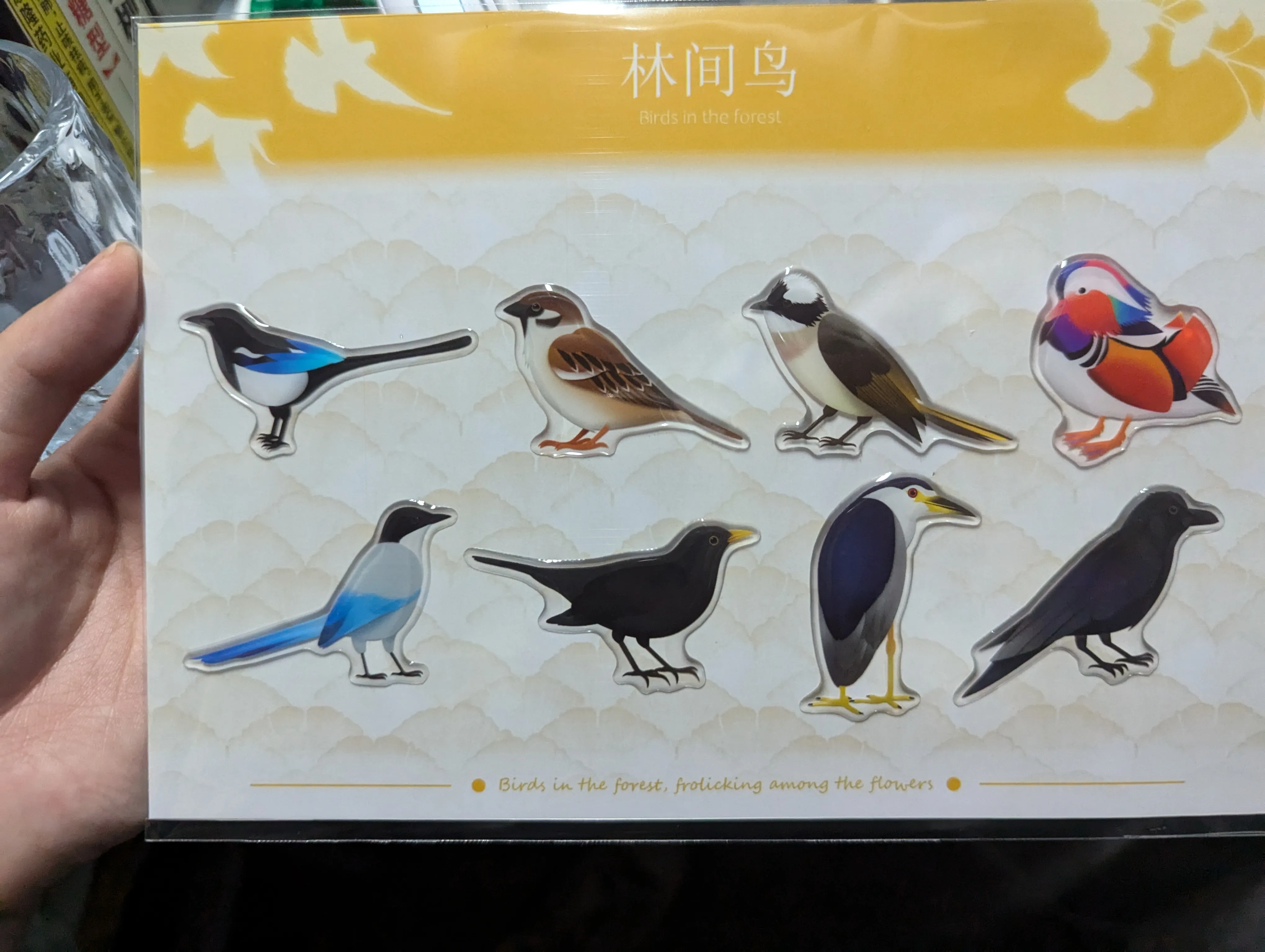 林间鸟 - 实拍展示 2