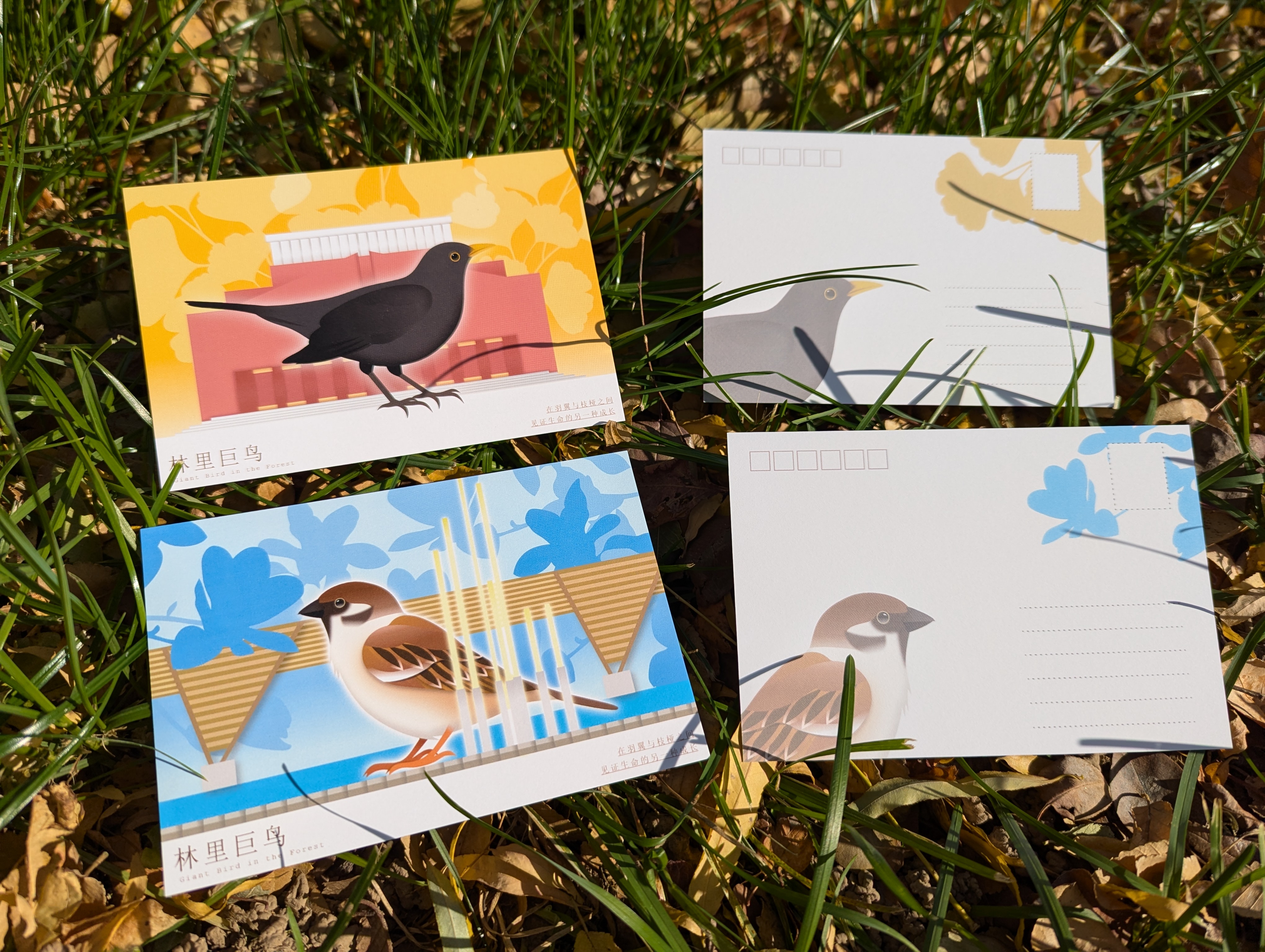 林间鸟 - 实拍展示 3