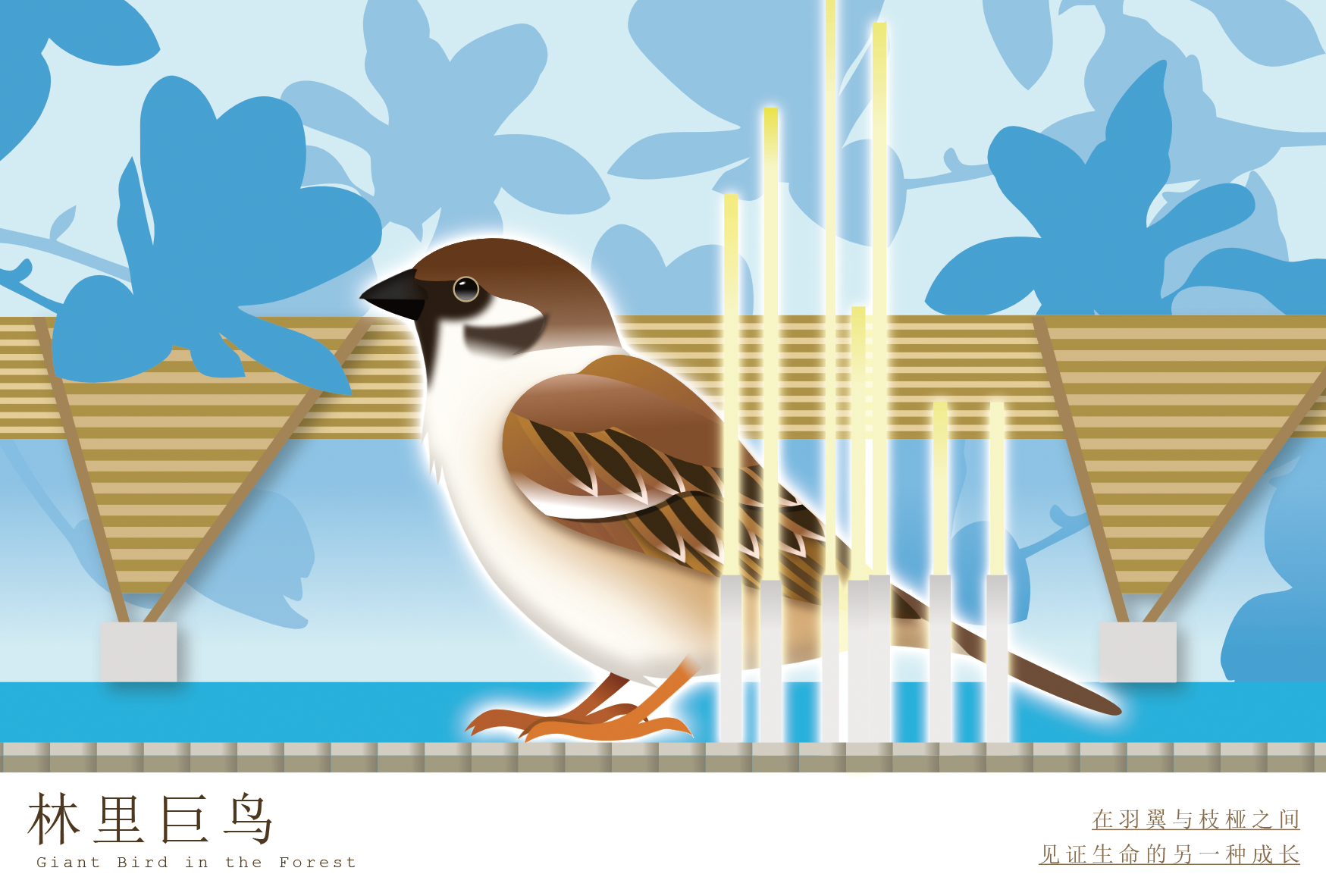 树影婆娑 - 正面