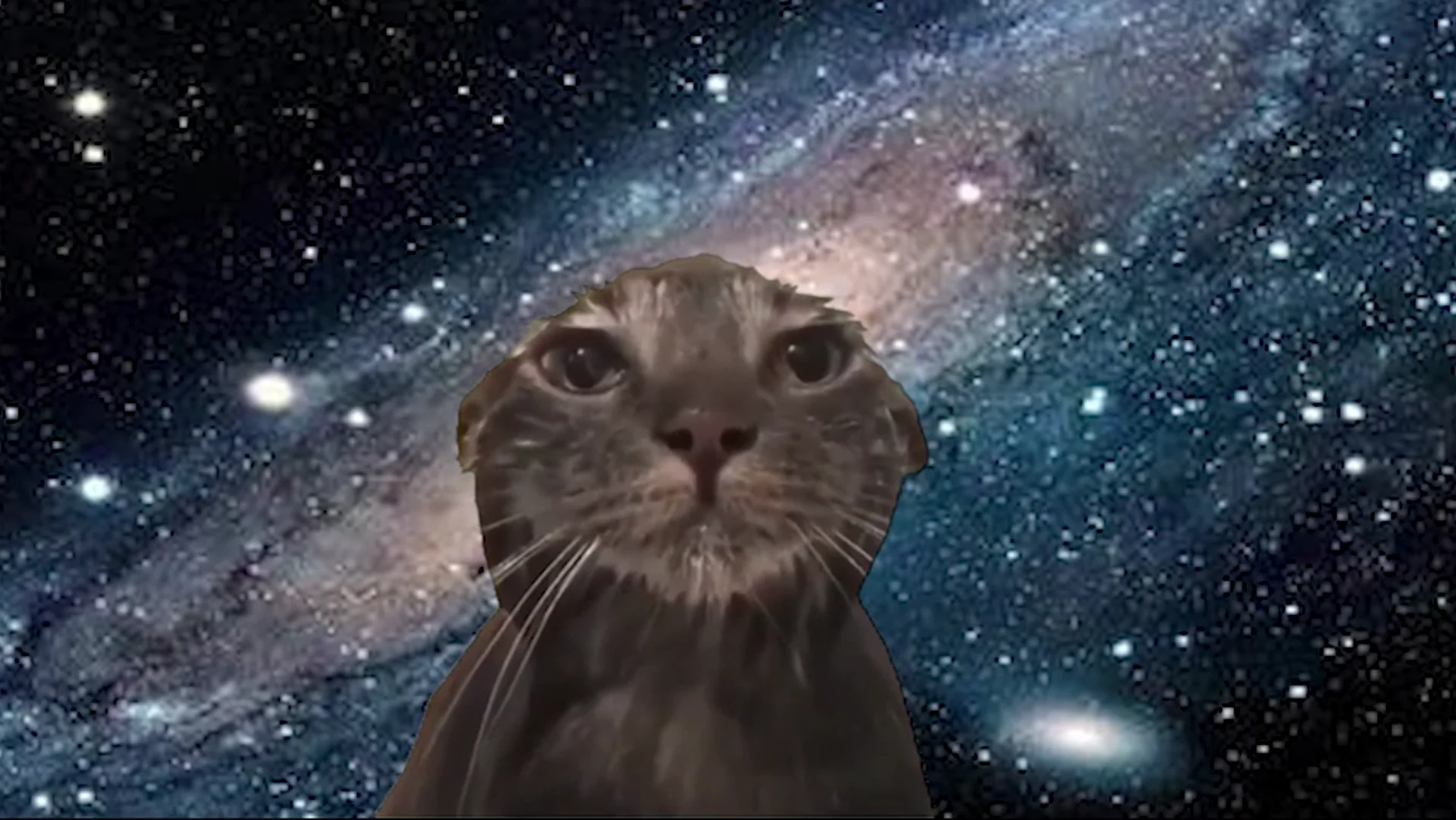 女大学生的亿天（meme 版）