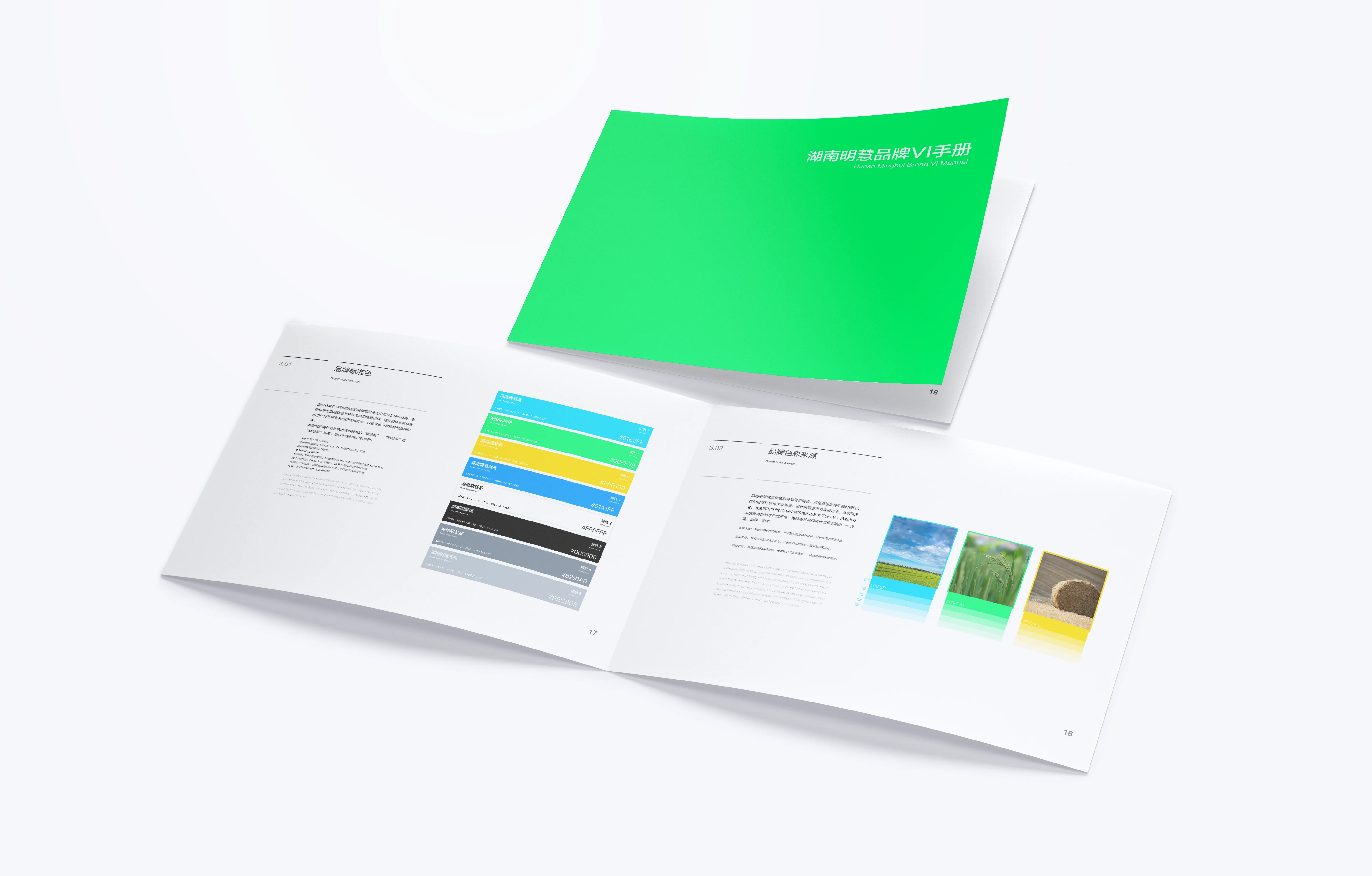 湖南明慧 VI 手册